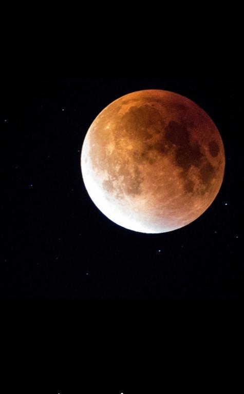 Luna Costinești Exterior foto